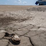 L'Amazonie, la plus grande forêt tropicale de la planète qui joue un rôle crucial dans la régulation du climat par l'absorption du dioxyde de carbone, est frappée par une sécheresse extrême depuis une année (archives). KEYSTONE/EPA EFE/RAPHAEL ALVES